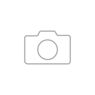 Durchschubsicherung DS 1806, L 1800 mm